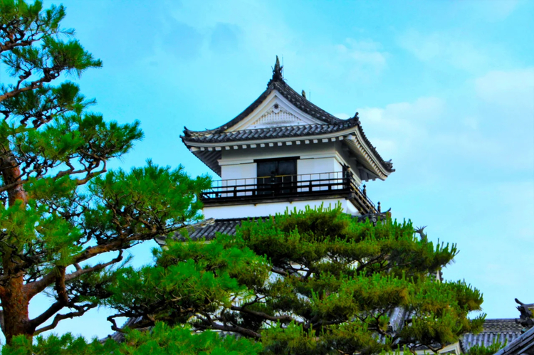 Cover media image