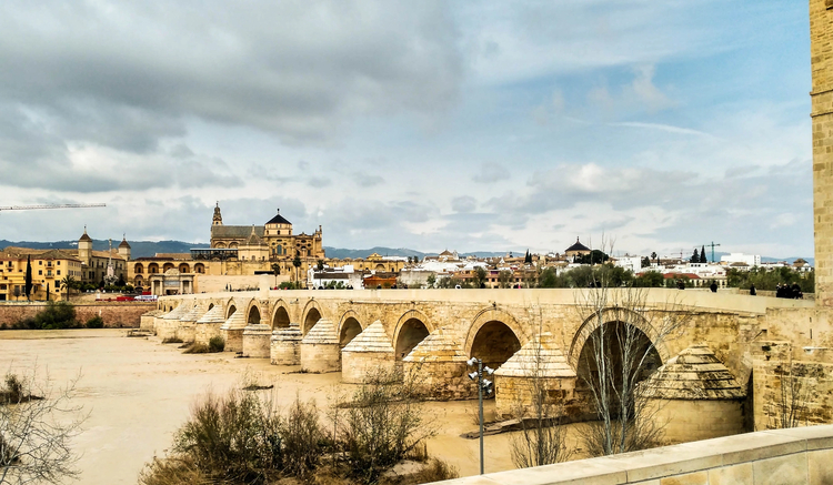 Cover media image