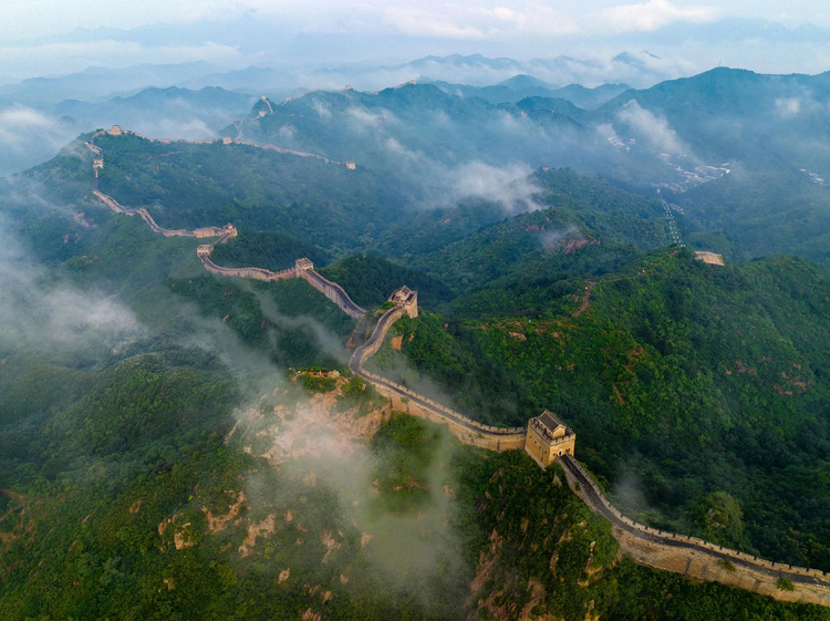 Cover media image