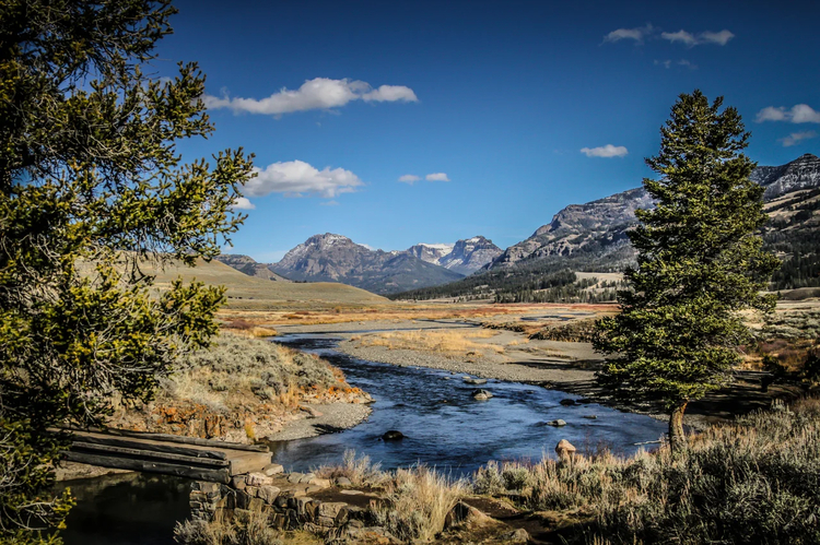 Cover media image