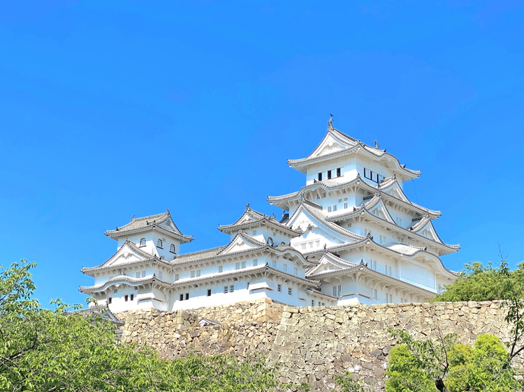 Cover media image