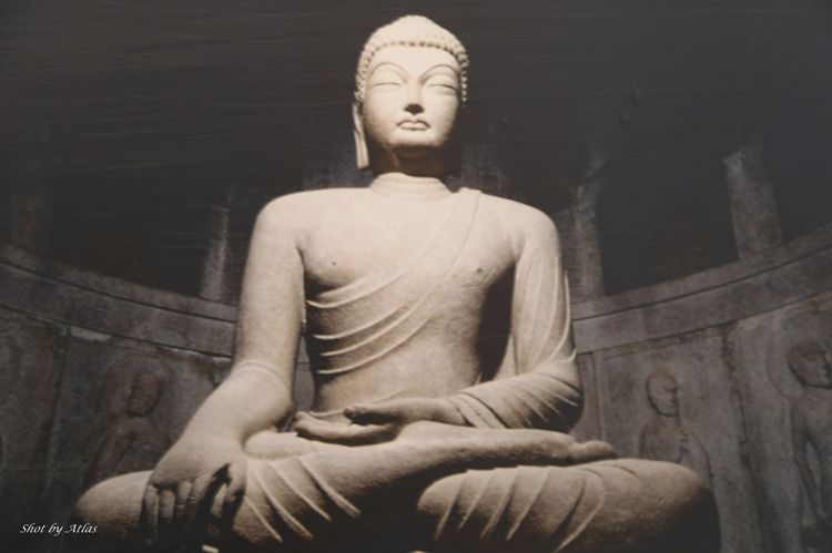 Cover media image