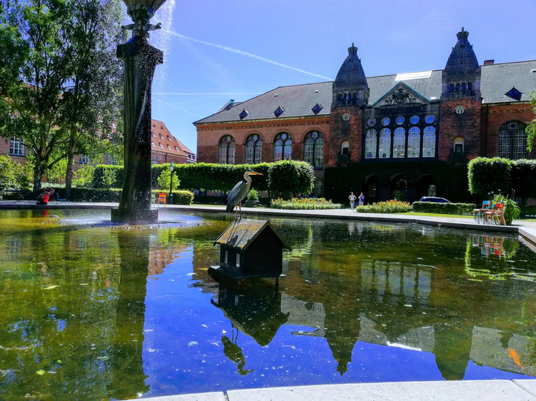 Cover media image