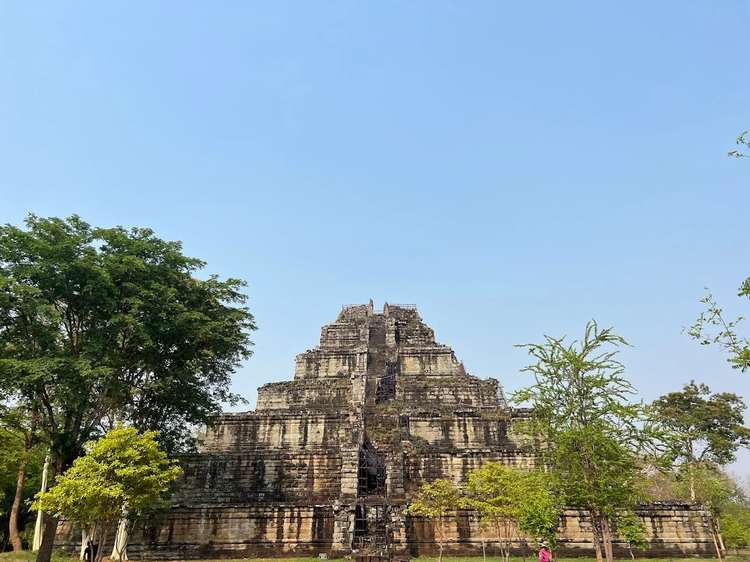 Cover media image