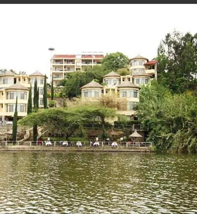 Cover media image