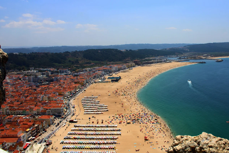 Cover media image