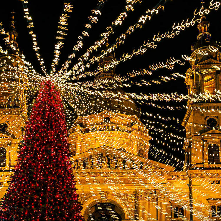 Cover media image