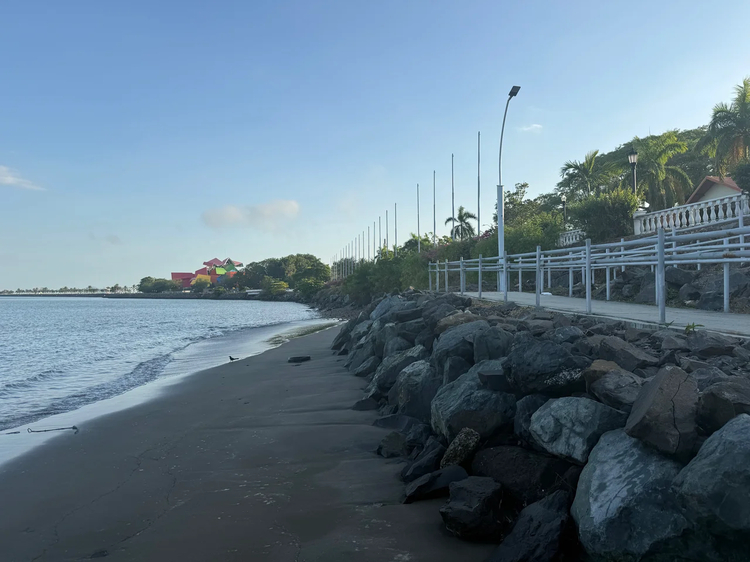 Cover media image