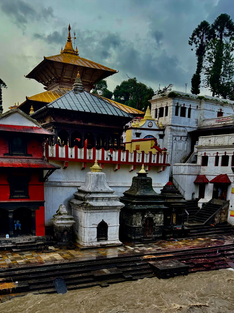 Cover media image