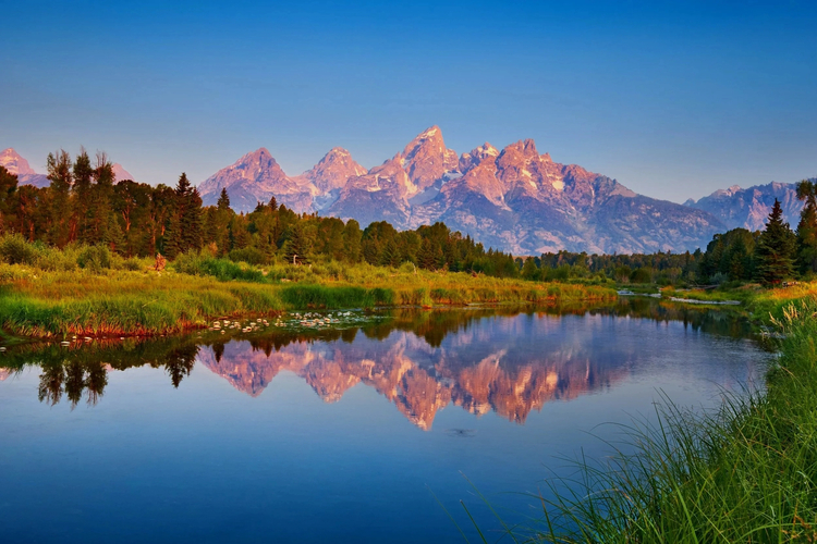 Cover media image