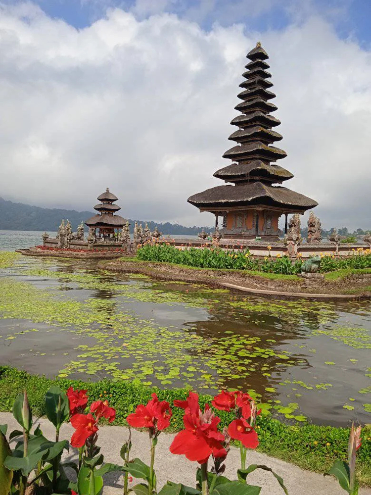 Cover media image