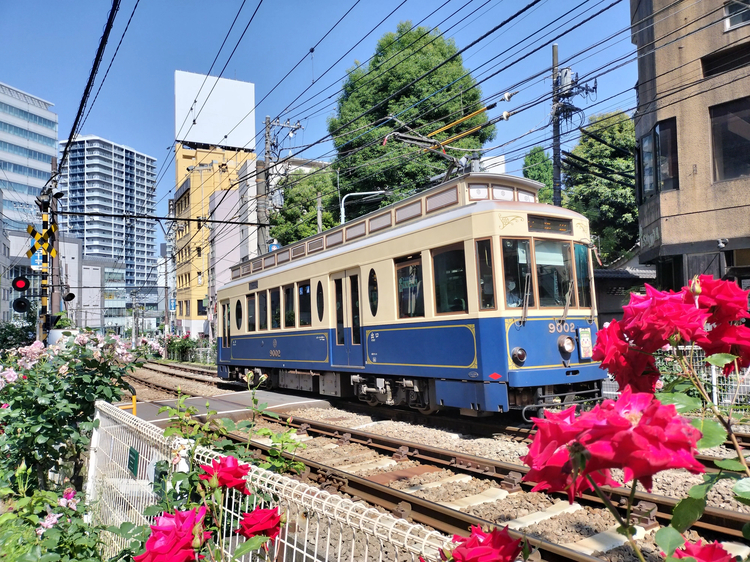 Cover media image