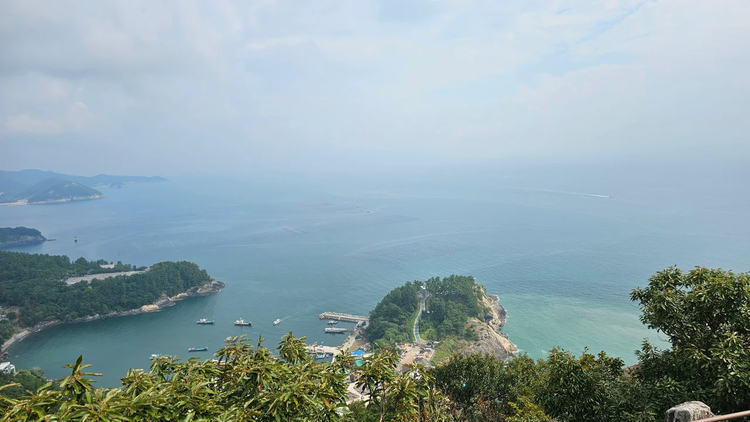 Cover media image