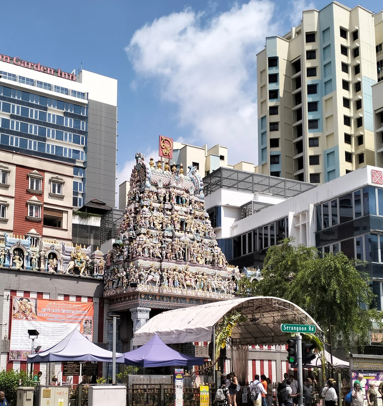 Cover media image