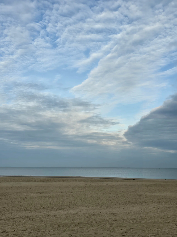 Cover media image