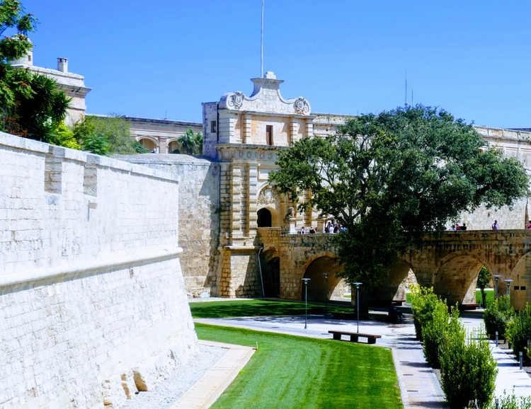 Cover media image