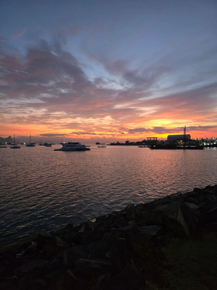 Cover media image