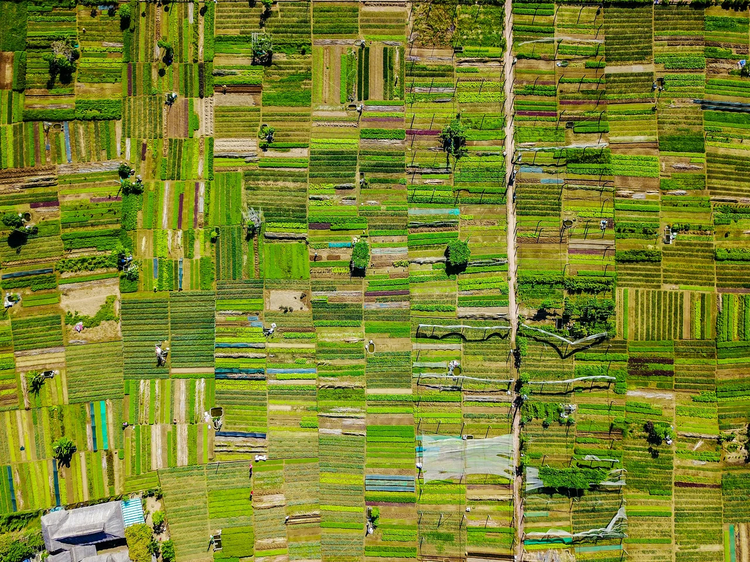 Cover media image