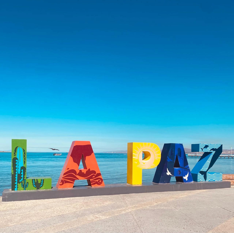Cover media image