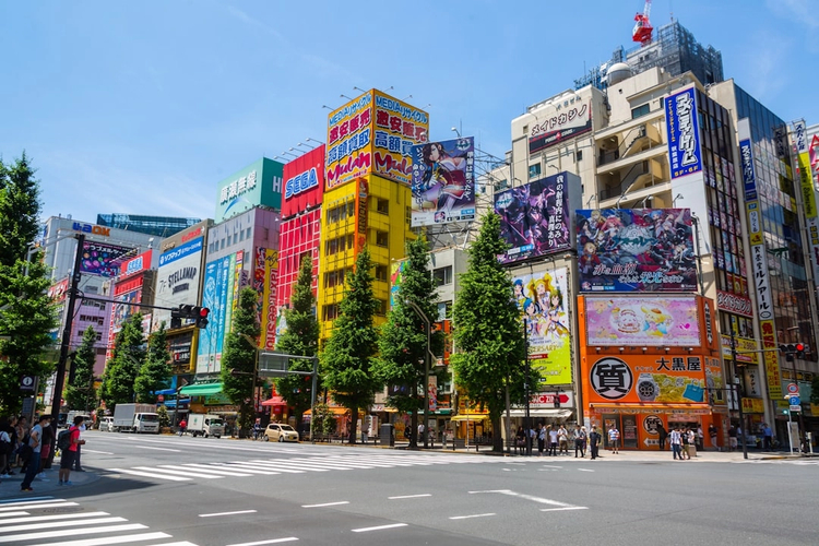 Ultimate Tokyo: Full-Day Private Driving Tour from Highlights to Hidden Layers