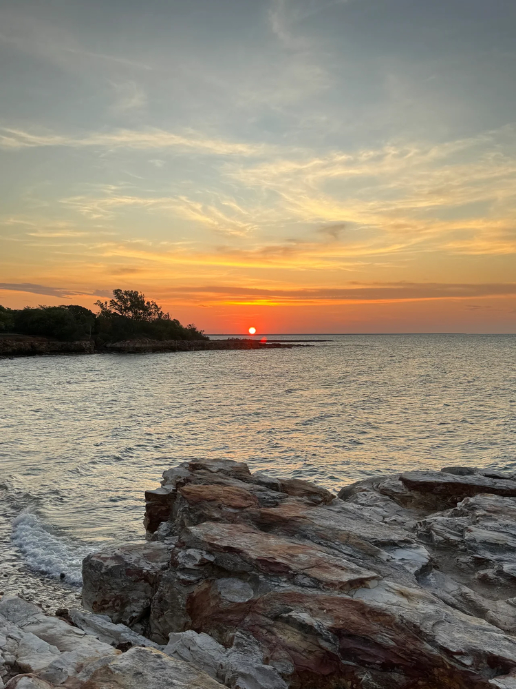 Cover media image