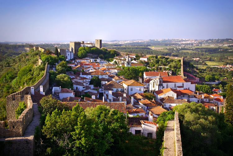 Cover media image