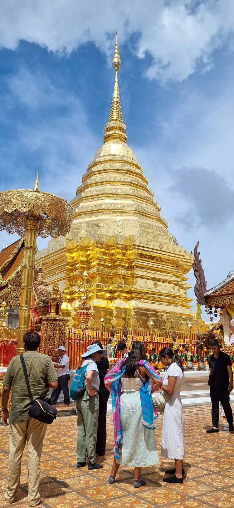 Cover media image
