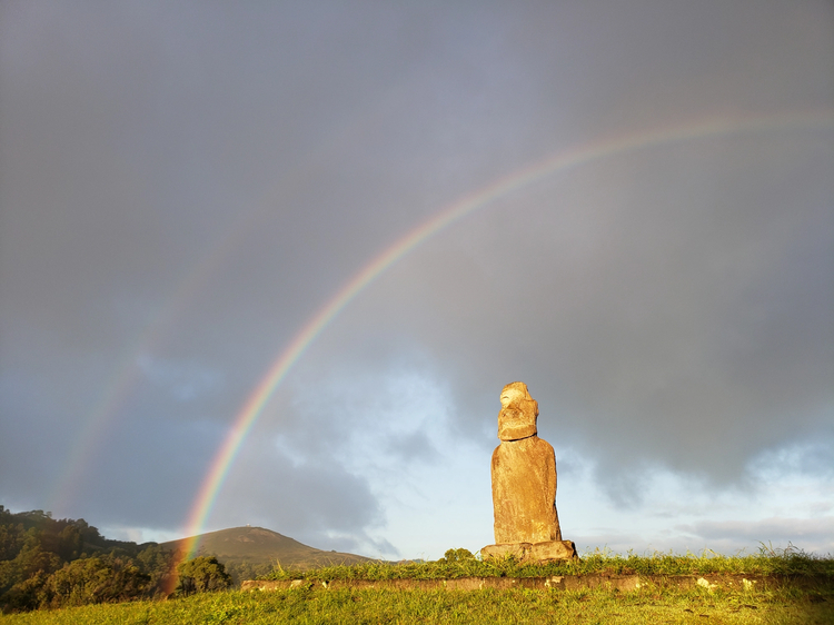 Cover media image