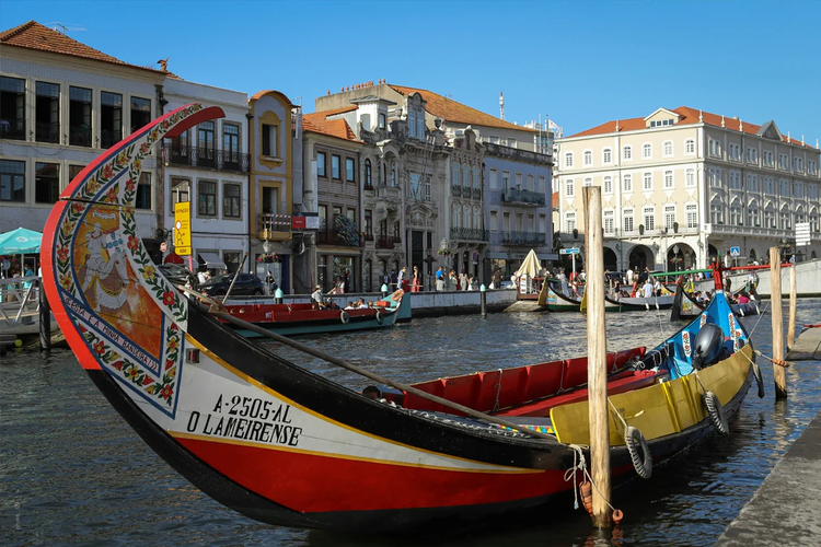 Cover media image