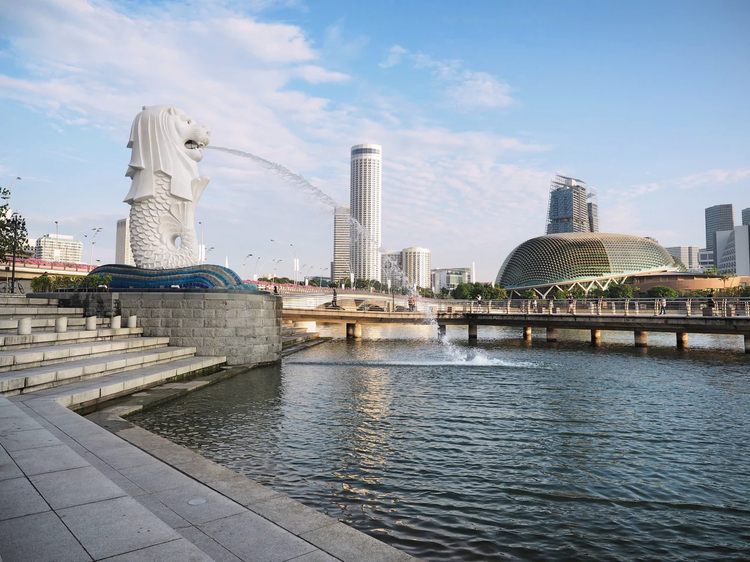 Cover media image