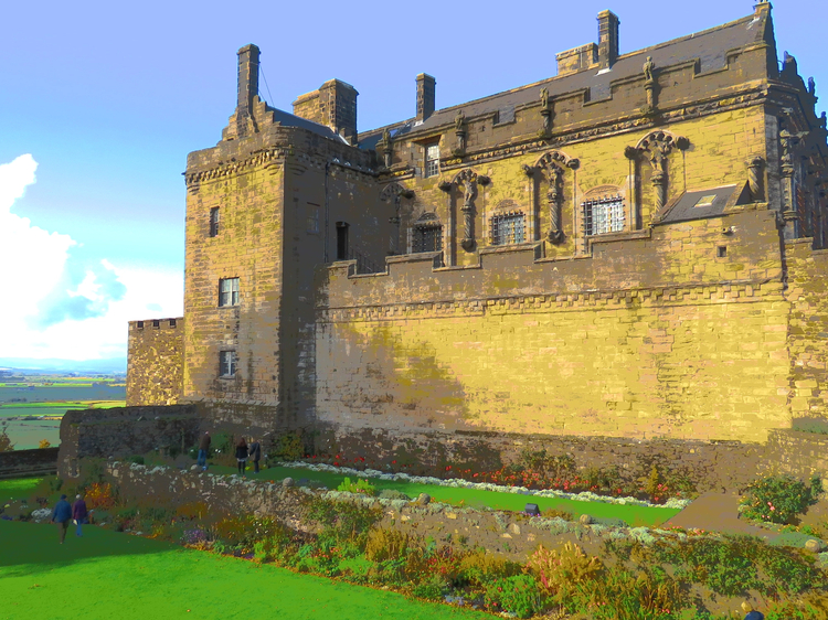 Cover media image