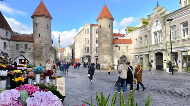 Cover media image