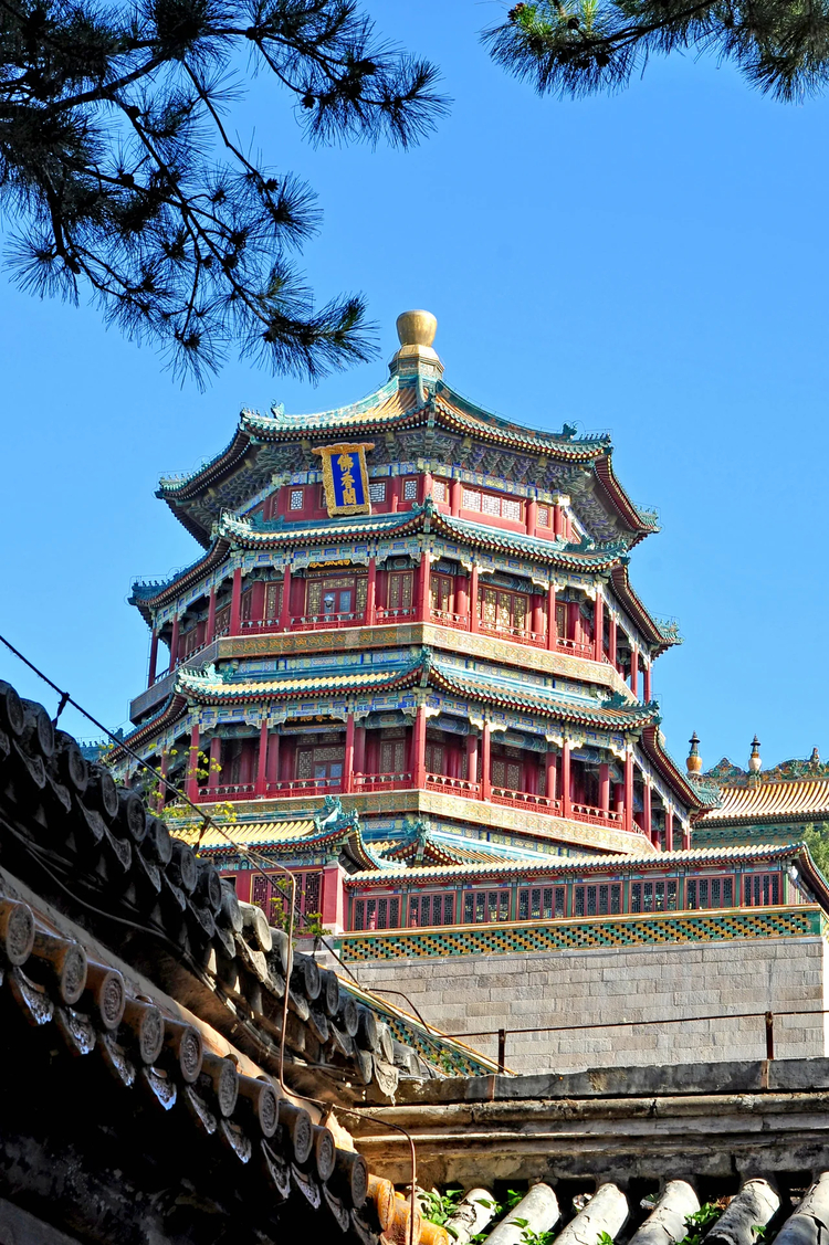 Cover media image