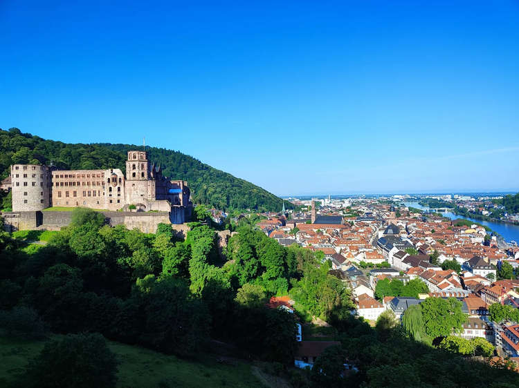 Cover media image