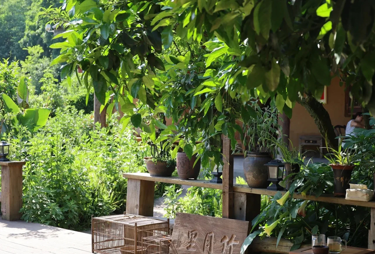 Cover media image