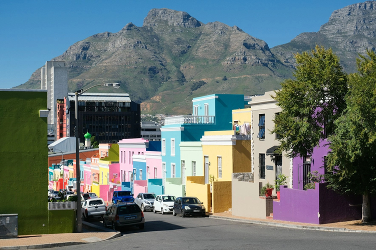 Ultimate Cape Town: Full-Day Private Driving Tour from Highlights to Hidden Layers