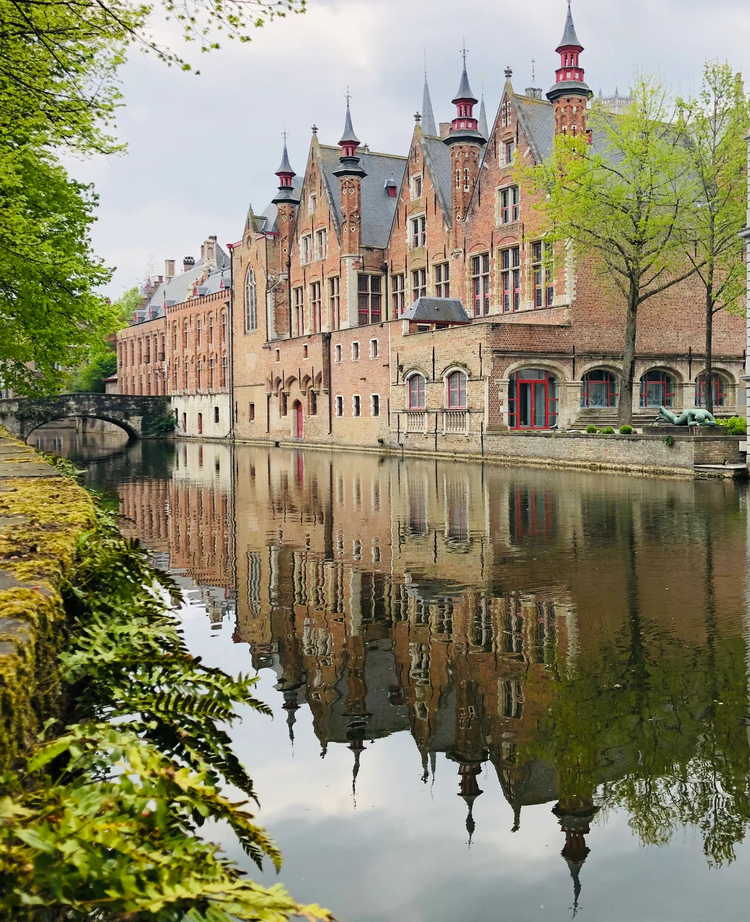 Cover media image