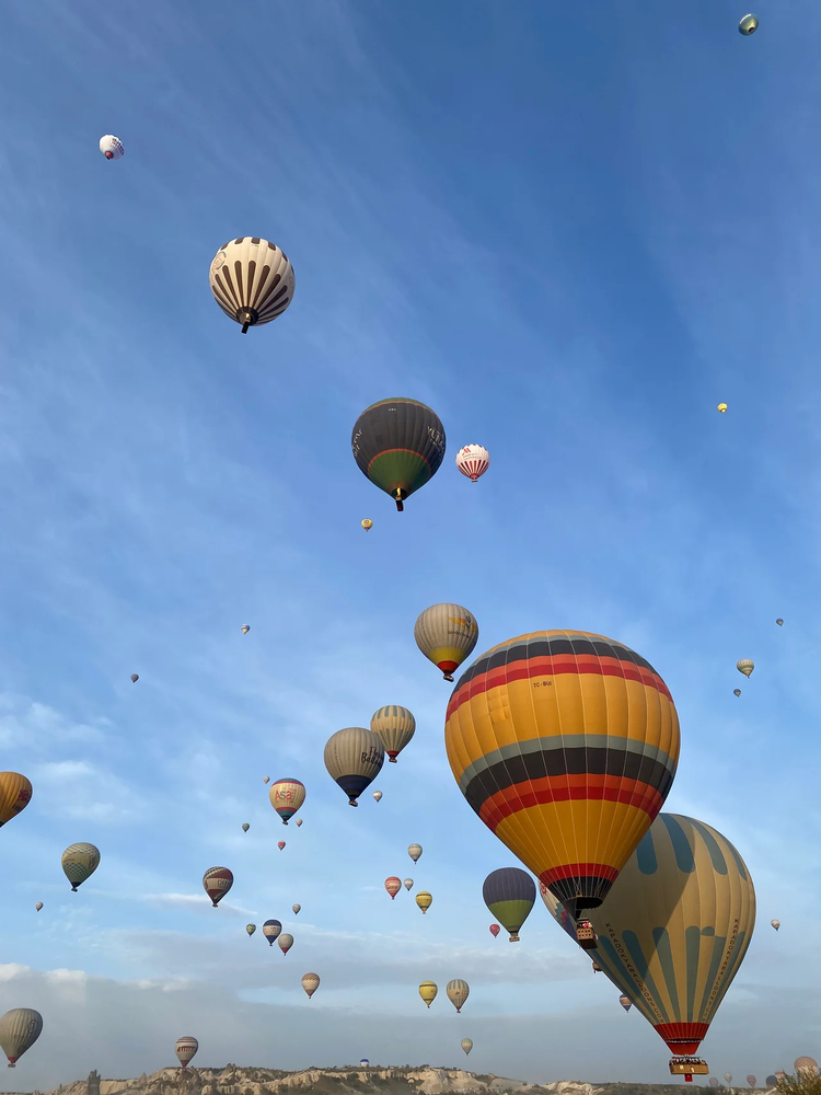 Cover media image