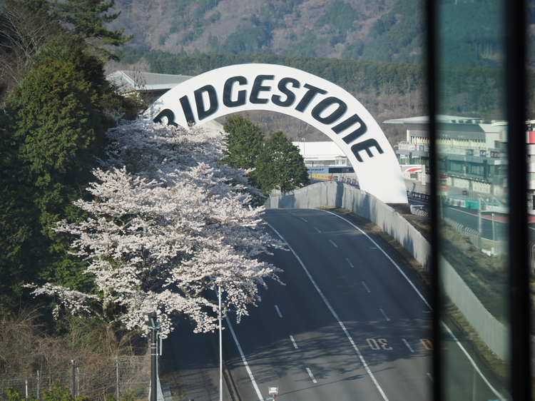 Cover media image