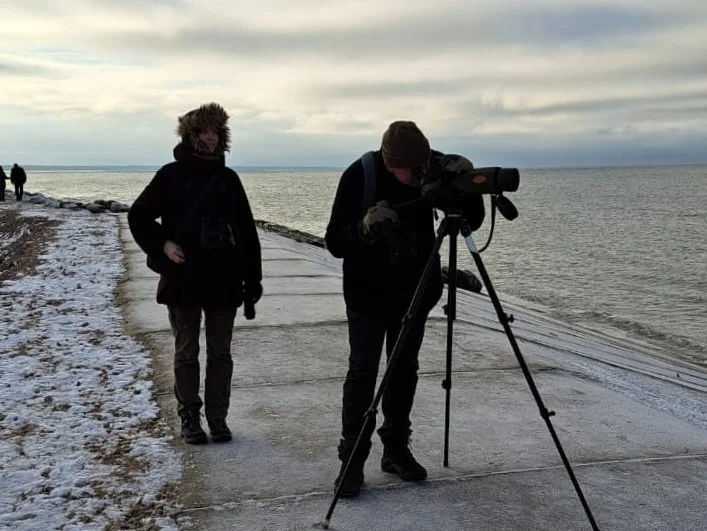 Cover media image