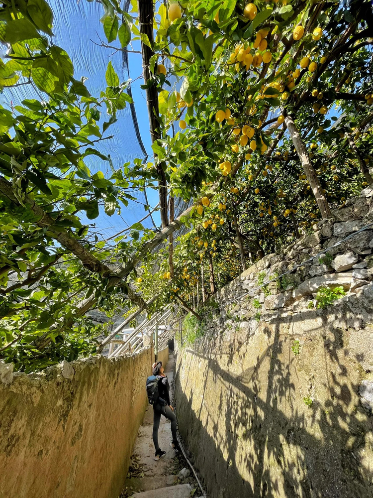 Cover media image