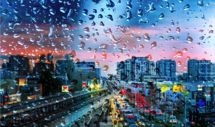 Cover media image