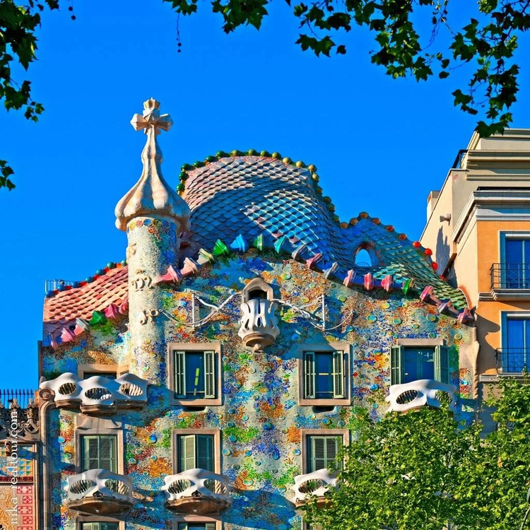 Cover media image