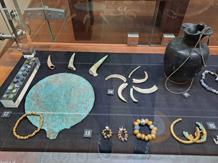 Cover media image