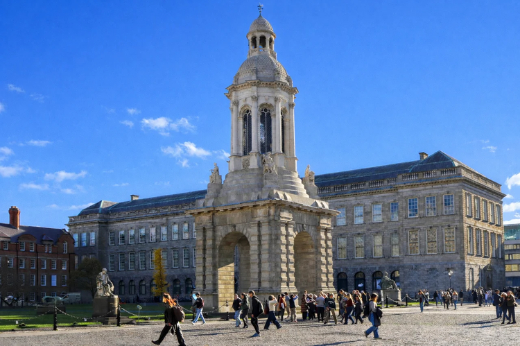 Cover media image