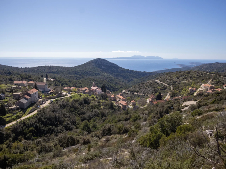 Cover media image