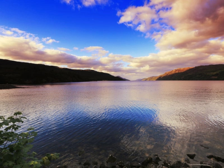 Cover media image