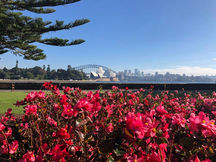 Ultimate Sydney: Full-Day Private Driving Tour from Highlights to Hidden Layers