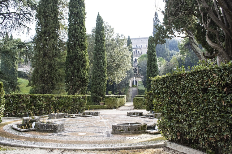 Cover media image