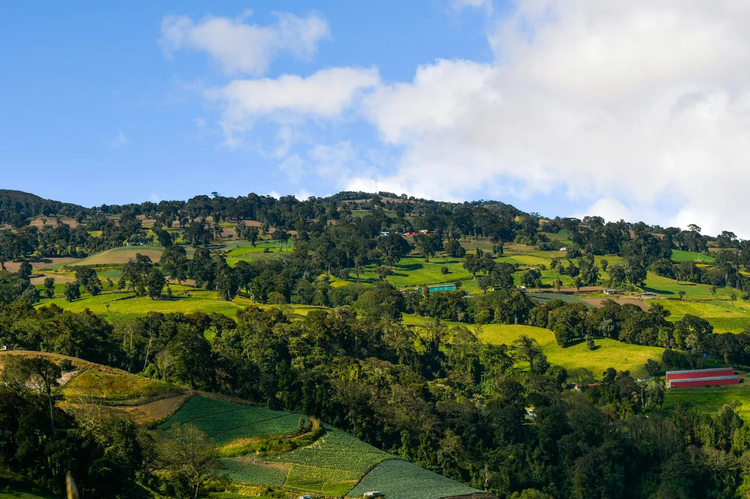 Cover media image